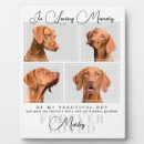 Search for hello pet supplies Photo collage