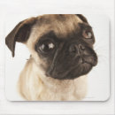 Recherche de visage chien tapis souris Animal