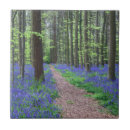 Recherche de la belgique carreaux Nature
