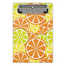 Recherche de agrume porte blocs Résumé