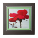 Search for single tiles Kitchen