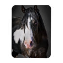 Recherche de de cheval magnets Portrait