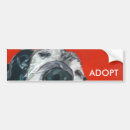 Search for black labrador bumper stickers Pets