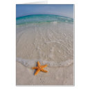 Search for seashore note cards Florida