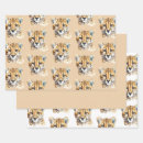 Recherche de safari papier cadeau Orange