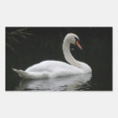 Recherche de cygne blanc autocollants Animaux