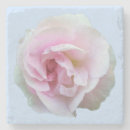 Search for pale blue coasters Simple