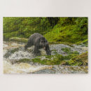 Search for british columbia puzzles Black bear