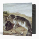 Search for crustaceans binders Shell