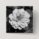 Search for b w buttons Garden