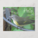 Search for warbler postcards Yellow
