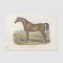 Search for equestrian tissue paper Ephemera