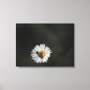 Search for bug canvas prints Garden