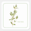 Search for thyme stickers Culinary