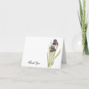 Search for white iris cards Botanical