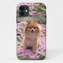 Search for pomeranian iphone cases Flowers