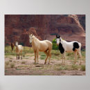 Search for free horse posters Stallion