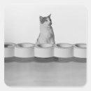 Search for licking stickers Studio shot