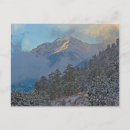 Search for estes park postcards Brown