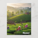 Recherche de india cartes postales Travel