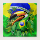 Search for toucan puzzles Brazil