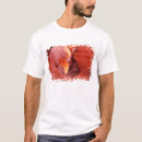 Recherche de antelope tshirts Canyon
