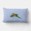 Search for parakeet pillows Tropical