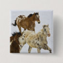 Search for horses running buttons Mountains