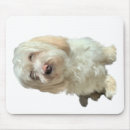 Recherche de papa chien tapis souris Blanc