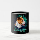 Recherche de jack russell terrier mugs Mignon