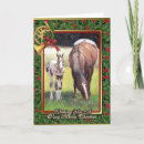 Search for appaloosa christmas cards Equine