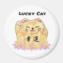 Search for feng magnets Good fortune