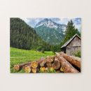 Search for camping puzzles Forest