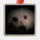 Search for rescue dog ornaments Puppy