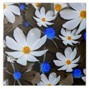 Recherche de cosmos carreaux Fleurs