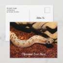 Recherche de pets postcards Nature