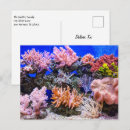 Search for saltwater postcards Sea