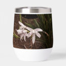Search for stemless wine tumblers Graduation