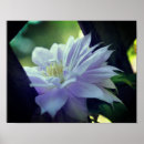 Search for nestled art Nature