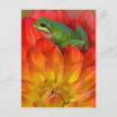 Search for darrell gulin postcards Green
