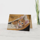 Search for in bed cards Kitten