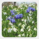 Recherche de chutes de neige autocollants Floral