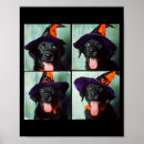 Search for black lab art Fall aesthetic
