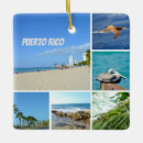 Search for puerto rico ornaments Nature
