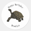 Search for turtle island stickers Reptile