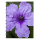 Search for dwarf notebooks Nature