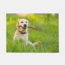 Search for yellow labrador doormats Cute