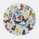 Search for white peacock ornaments Blue
