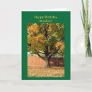 Search for tree of wish cards Fun