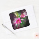Recherche de stargazer lily stickers Lièvre